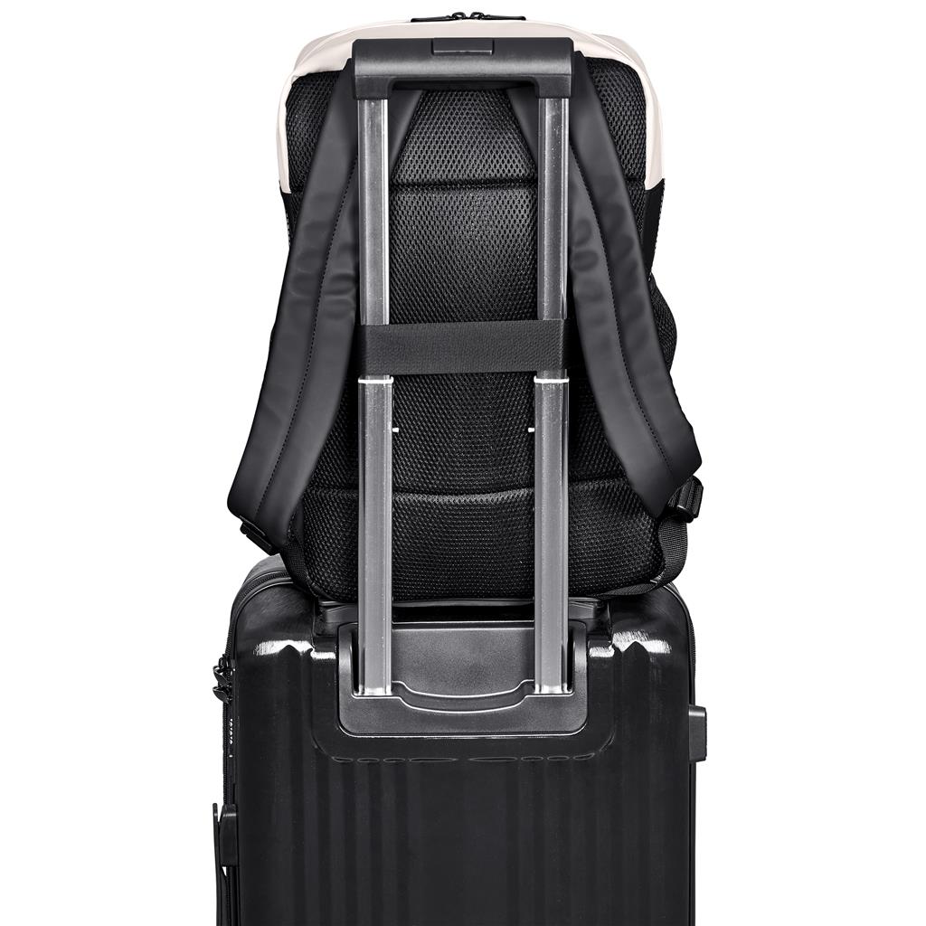 AC Cederberg Water-Resistant Laptop Backpack